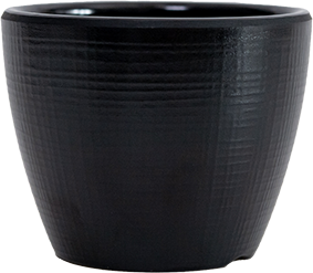 Matte Cup No.3